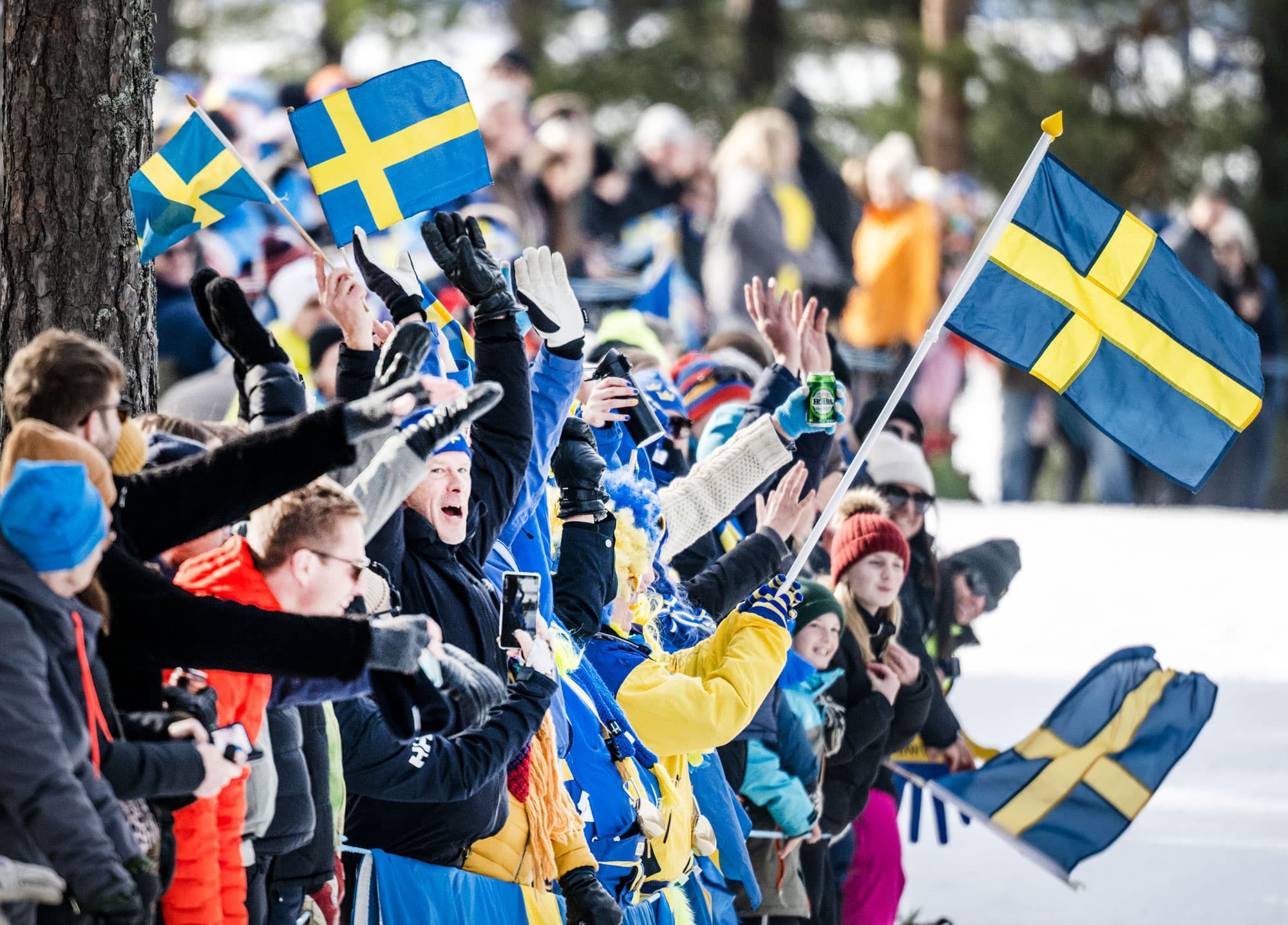 Ticket release for the FIS Nordic World Ski Championships Falun 2027 and the 2026 Cross-Country World Cup