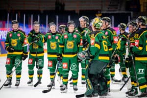 Bli bedre kjent med: Ilves